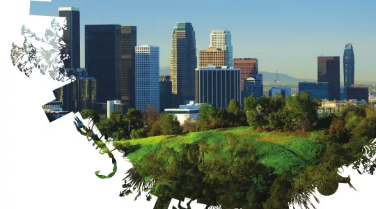 image of DTLA with green in foreground and animal cutouts in a circle