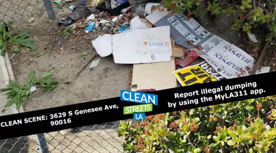 Clean Street LA