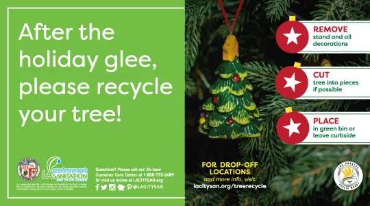 Xmas Tree Recycling kick off 2019