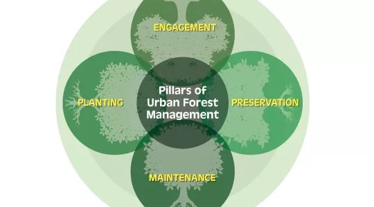 urban forestry management venn diagram