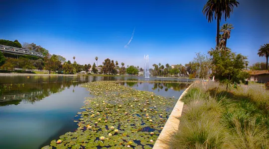 Echo Park Lake with fountain and plants