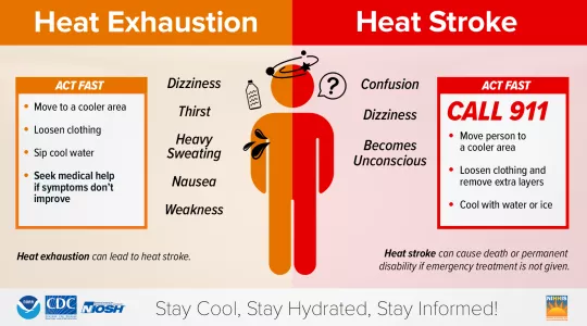 Tips on how to stay healthy in the heat.