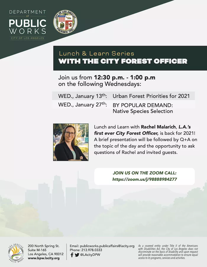 Lunch and learn flyer with photo of Rachel Malarich City Forest Officer