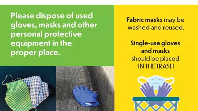 lasan, gloves, litter, ppe, masks