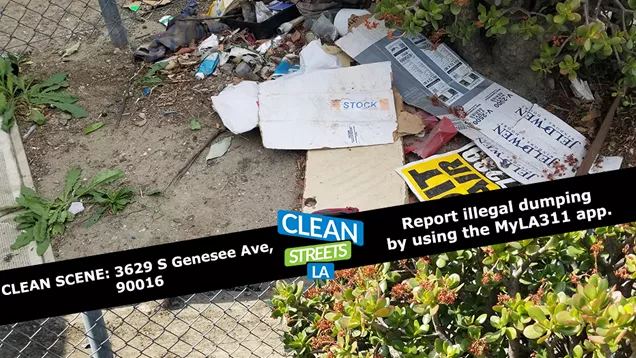 Clean Street LA
