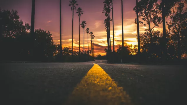 Streetscape with palm trees and colorful sunset
