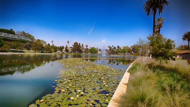 Echo Park Lake with fountain and plants