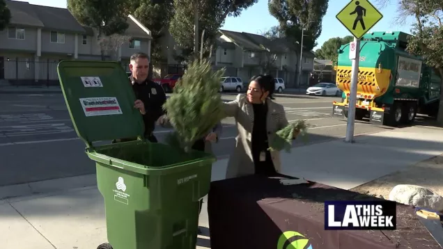 tree recycling LA This Week