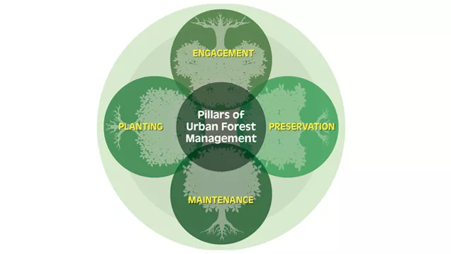 urban forestry management venn diagram